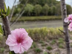 -柳鹭田园区