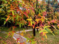 -国家植物园南园