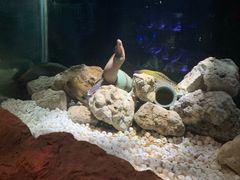 -邯郸海洋世界