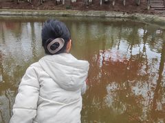 -乌村