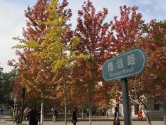 -辽宁大学(崇山校区)