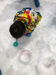 点击看大图 -Mr·Kuma酷么先生雪之乐园
