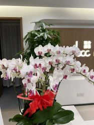 -丰联丽格医疗美容·联合丽格眼整形中心