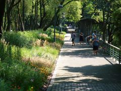 -西湖风景区-江洋畈生态公园