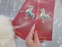 -甘肃省博物馆