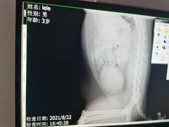 -北京恒爱动物医院(清景园分院)