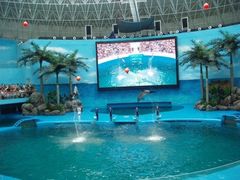 -海合安成都极地海洋公园