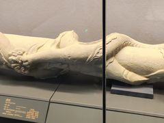 -贵州省博物馆(新馆)
