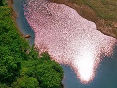 -玉苍山国家森林公园