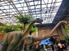 -国家自然博物馆