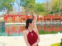 -南京银杏湖乐园