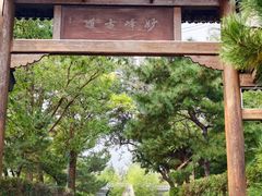 -阳台山自然风景区