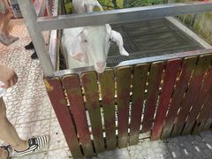 -上海大自然野生昆虫馆(东方明珠·爬宠昆虫探索中心)