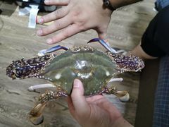-毕家疃综合市场