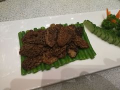 -河南省黄河迎宾馆