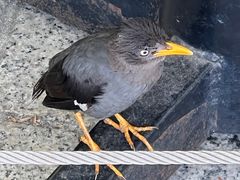 -亚坤(远东广场店)