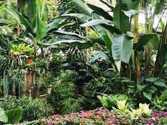 -北京植物园-展览温室