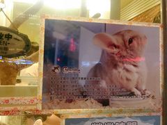 -龙猫仔乐园(惠福东路店)