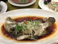 清蒸海鱼-寻味顺德·南记酒家·传统顺德菜·鱼生(广源路店)