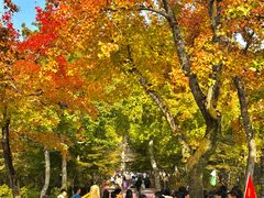 -西山人家·传统苏帮菜·家宴(木渎店)