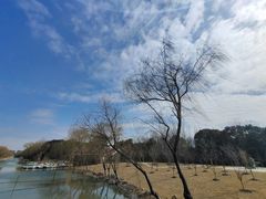 -自然谷恐龙园