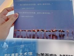 -罗红摄影艺术馆