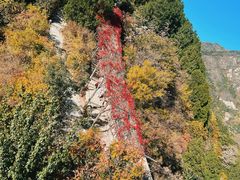 -香山公园