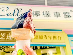 -柠檬车露(卖草地店)