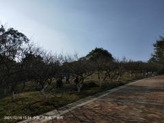 -玉树公园