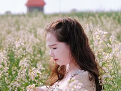 -杭州湾海上花田景区