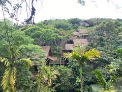 -海南槟榔谷黎苗文化旅游区