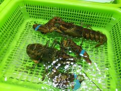 龙虾-都斛海鲜街