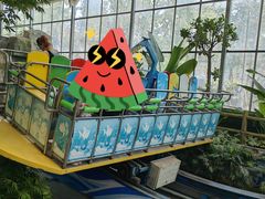 -南宫五洲植物乐园