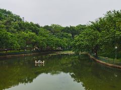 -深圳龙潭公园