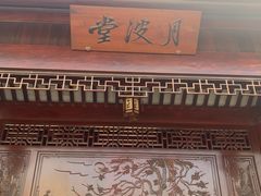 -上海滨江森林公园