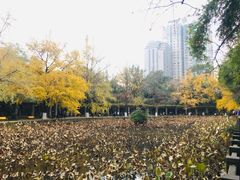 -四川大学(华西校区)