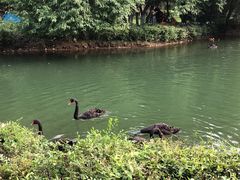 -长白岛森林公园