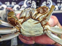 -阳澄湖大闸蟹·琼灵阁牌品牌连锁(吴中总店)