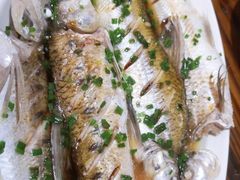 -呼吸森林·生态农庄农家乐私房菜