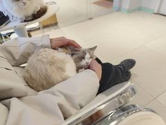 -怪兽屋·羊驼·猫咖·狗咖(俊华广场店)