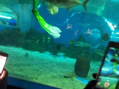 -沈阳海洋探索中心