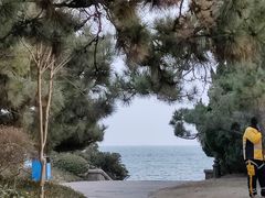 -青岛第二海水浴场