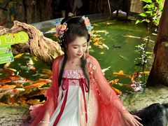-正佳雨林生态植物园
