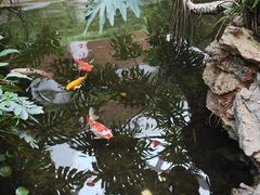 -白天鹅宾馆·流浮阁咖啡厅