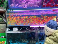 -西宁市人民公园(城西区)