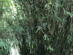 -新江湾城公园