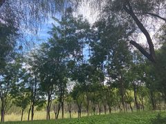 -东郊湿地公园