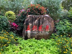 -广州市流溪河国家森林公园