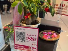 -一善菌·云南菌汤·云南菜(银泰城店)