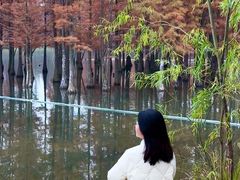 -白鹭湾湿地公园